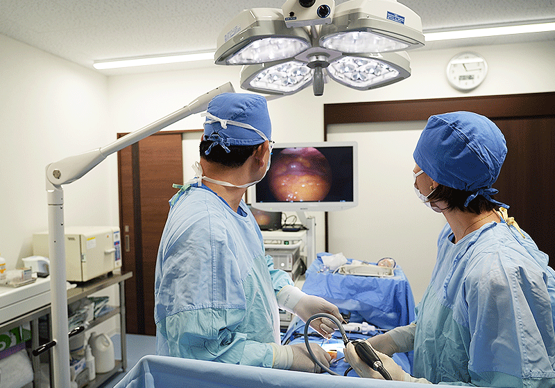 腹腔鏡の手術イメージ
